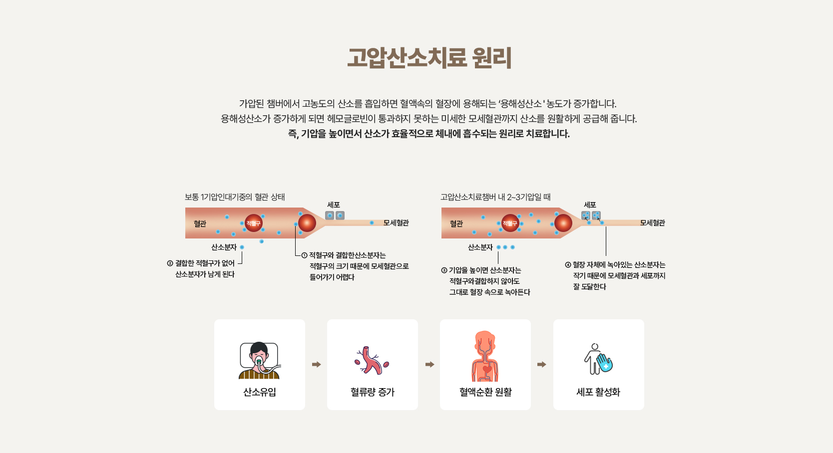 고농도산소,고압산소장치,고압산소테라피,산소캡슐가격,산소텐트,고압산소탱크,산소발생기